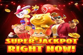 Dashboard loyalitas angka togel menampilkan tier progression, cashback, dan benefit eksklusif